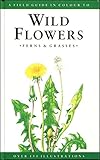 A field guide in colour to wild flowers, ferns & grasses