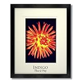 IMAGE OF SET of 6 - 14x18 Black Wood 5/8