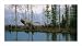 September Song by Michael Bargelski poster print,36 in. x 20 in.