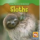 Sloths (Animals That Live in the Rain Forest) by Julie Guidone