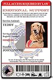 Holographic Emotional Support Dog ID Card