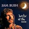 Howlin at the Moon