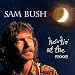 Howlin at the Moon