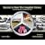Daimler and Benz: The Complete History - The Birth and Evolution of the Mercedes-Benz