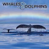 Whales and Dolphins 2012 Wall Calendar