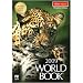 MacKiev 2009 World Book DVD - Windows