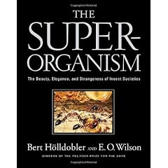The Super-organism: The Beauty, Elegance, and Strangeness of Insect Societies