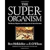 The Super-organism: The Beauty, Elegance, and Strangeness of Insect Societies