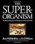 The Super-organism: The Beauty, Elegance, and Strangeness of Insect Societies