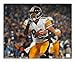 Autographed Hines Ward Pittsburgh Steelers 16x20 Photo