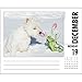 Just Westies Desk Calendar