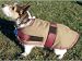 High Spirit Waterproof Insulated Dog Blanket