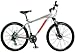 Schwinn Fracas Men's Mountain Bike (26-Inch Wheels)