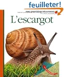 L'escargot