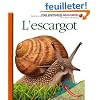 L'escargot