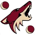 Phoenix Coyotes Removable Logo - 24x24"