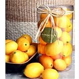 Fake Artificial fruit- Lemon, Yellow Lemon