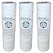 KleenWater High Temperature Water Filters, 2.5 x 9.75 Inch with Scale Inhibitor, Maximum Temperature 180 Degrees, 3 Pack
