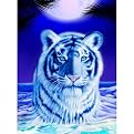 Ravensburger Moonlight Shimmer 1000 pc pzl