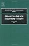 Organizing the New Industrial Economy (Advances in Applied Micro-economics)