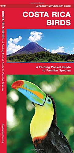 Costa Rica Birds: A Folding Pocket Guide to Familiar Species (Pocket Naturalist Guide Series)