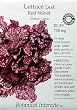 Lettuce Leaf Red Velvet Certified Organic Heirloom Seeds