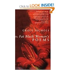 The Fat Black Woman's Poems (Virago Poets)