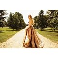 Speak Now Litho #2 - Enchanted