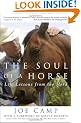 The Soul of a Horse: Life Lessons from the Herd