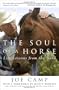 The Soul of a Horse: Life Lessons from the Herd