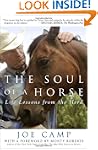 The Soul of a Horse: Life Lessons fro...