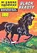 Black Beauty (Classics Illustrated)