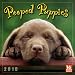 Pooped Puppies 2010 Wall Calendar (Calendar)
