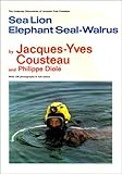 Sea lion, elephant seal, walrus