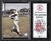 Ted Williams 12x15 Player Plaque