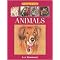 Drawing in Color (Animals) (Illustrated) (Paperback)