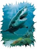 Shark 252-72002 Wall Mural