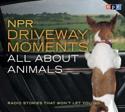 Audiobook