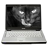 Toshiba Satellite U305-S7448 13.3-inch Laptop (Intel Pentium Dual Core Processor T2310, 2 GB RAM, 160 GB Hard Drive, Vista Premium)