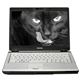 Toshiba Satellite U305-S7448 Laptop
