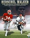 Herschel Walker Signed Georgia Bulldogs 16x20 Photo