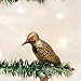 Old World Christmas Ornaments: Northern Flicker Glass Blown Ornaments for Christmas Tree (18076) , Brown