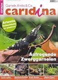 Produkt-Bild: caridina