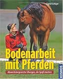 Produkt-Bild: Bodenarbeit mit Pferden: Abwechslungsreiche &Uuml;bungen, die Spa&szlig; machen