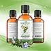 Real Rosemary Essential Oil :: Pure Undiluted (1oz)