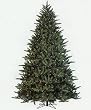 7.5' Fresh Cut Wisteria Spruce Pre-Lit Artificial Christmas Tree - Clear Lights