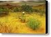 DESERT ROSE Canvas Print / Canvas Art - Artist Stephen Campbell