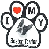 Boston Terrier Paw Magnet (Black/White, 6in)