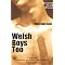 British / Irish gay fiction - part  four