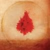 Like a fire that consumes all before it...